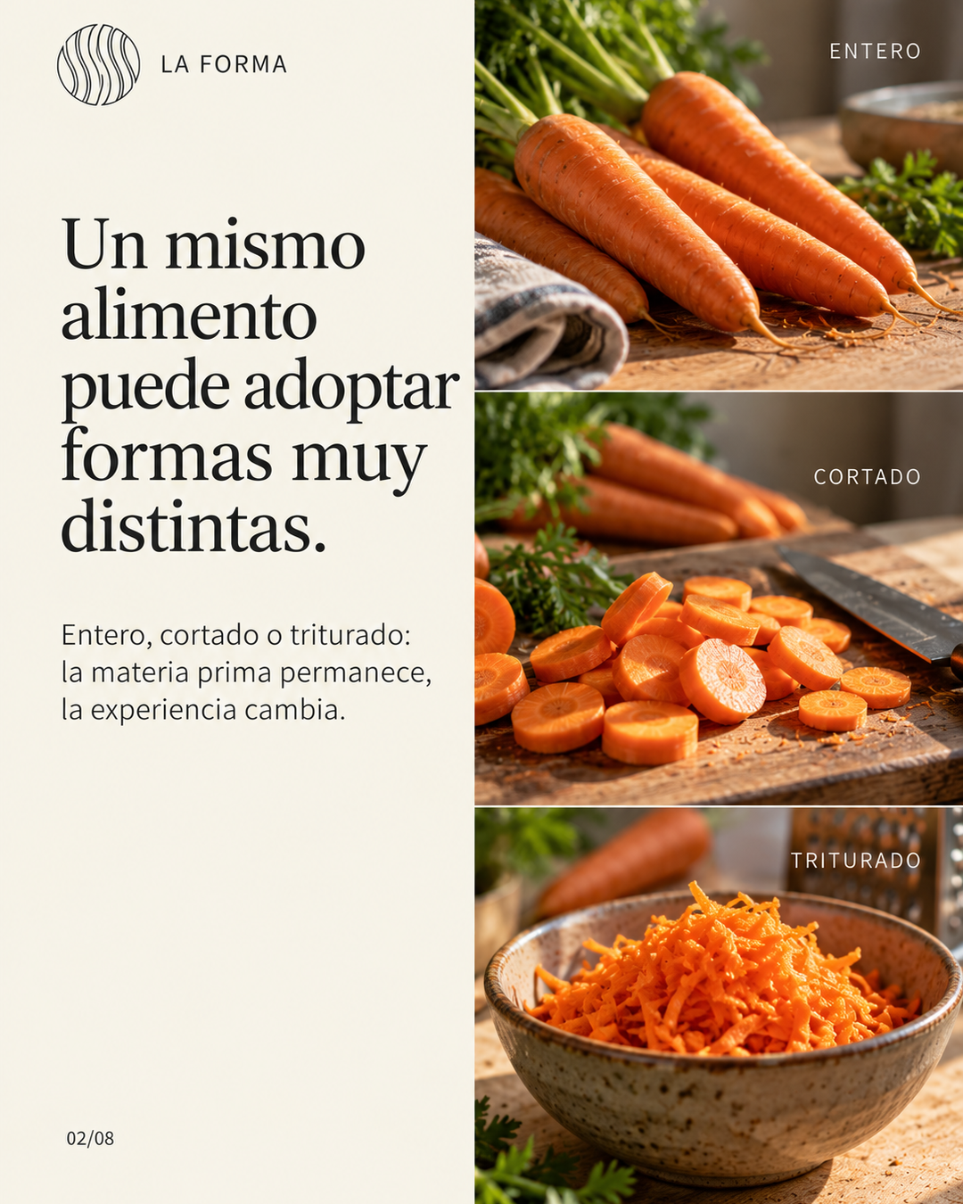 Un mismo alimento puede adoptar formas muy distintas — zanahoria entera, cortada y triturada.